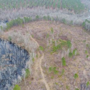Photo of UNDER CONTRACT!  87 Acres of Hunting and Timber Land For Sale in Harnett County NC!