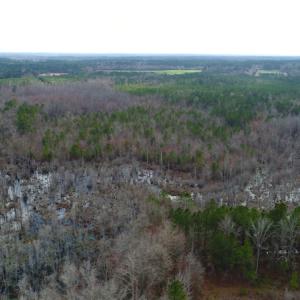 Photo of UNDER CONTRACT!  87 Acres of Hunting and Timber Land For Sale in Harnett County NC!
