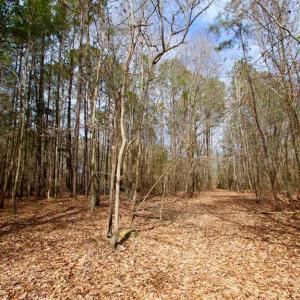 Photo of SOLD!!  69 Acres of Prime Development and Recreational Land in Pitt County NC!