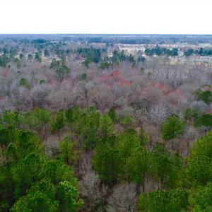 Photo of SOLD!!  69 Acres of Prime Development and Recreational Land in Pitt County NC!