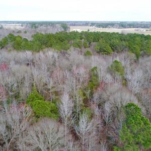 Photo of SOLD!!  69 Acres of Prime Development and Recreational Land in Pitt County NC!