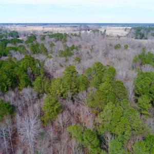 Photo of SOLD!!  69 Acres of Prime Development and Recreational Land in Pitt County NC!