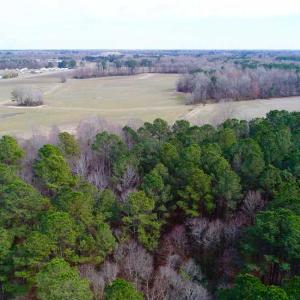 Photo of SOLD!!  69 Acres of Prime Development and Recreational Land in Pitt County NC!