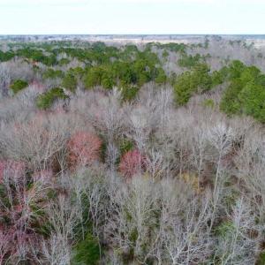 Photo of SOLD!!  69 Acres of Prime Development and Recreational Land in Pitt County NC!