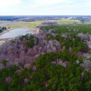 Photo of SOLD!!  69 Acres of Prime Development and Recreational Land in Pitt County NC!