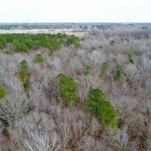 Photo of SOLD!!  69 Acres of Prime Development and Recreational Land in Pitt County NC!