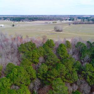 Photo of SOLD!!  69 Acres of Prime Development and Recreational Land in Pitt County NC!