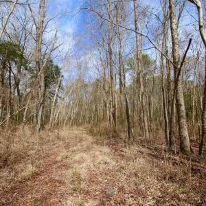 Photo of SOLD!!  69 Acres of Prime Development and Recreational Land in Pitt County NC!