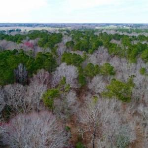 Photo of SOLD!!  69 Acres of Prime Development and Recreational Land in Pitt County NC!