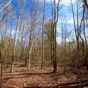 Photo of SOLD!!  69 Acres of Prime Development and Recreational Land in Pitt County NC!
