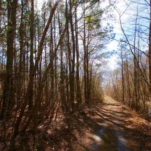 Photo of SOLD!!  69 Acres of Prime Development and Recreational Land in Pitt County NC!