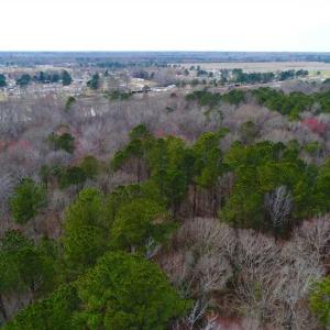 Photo of SOLD!!  69 Acres of Prime Development and Recreational Land in Pitt County NC!