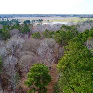 Photo of SOLD!!  69 Acres of Prime Development and Recreational Land in Pitt County NC!
