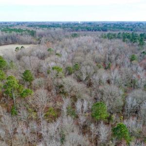 Photo of SOLD!!  69 Acres of Prime Development and Recreational Land in Pitt County NC!