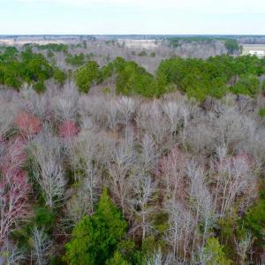 Photo of SOLD!!  69 Acres of Prime Development and Recreational Land in Pitt County NC!