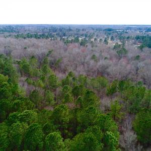 Photo of SOLD!!  69 Acres of Prime Development and Recreational Land in Pitt County NC!