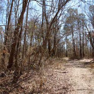 Photo of SOLD!!  69 Acres of Prime Development and Recreational Land in Pitt County NC!
