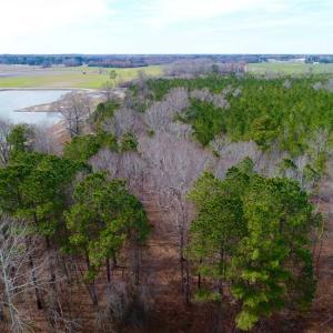 Photo of SOLD!!  69 Acres of Prime Development and Recreational Land in Pitt County NC!