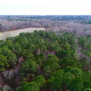 Photo of SOLD!!  69 Acres of Prime Development and Recreational Land in Pitt County NC!