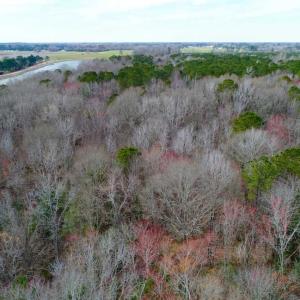 Photo of SOLD!!  69 Acres of Prime Development and Recreational Land in Pitt County NC!