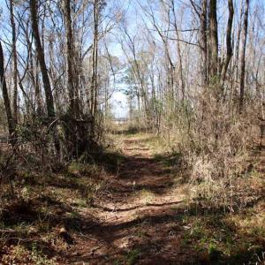 Photo of SOLD!!  69 Acres of Prime Development and Recreational Land in Pitt County NC!