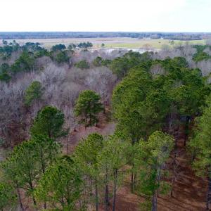 Photo of SOLD!!  69 Acres of Prime Development and Recreational Land in Pitt County NC!