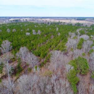 Photo of SOLD!!  69 Acres of Prime Development and Recreational Land in Pitt County NC!