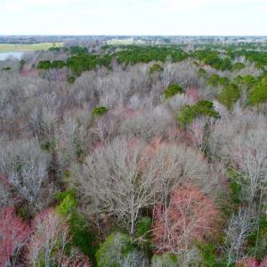 Photo of SOLD!!  69 Acres of Prime Development and Recreational Land in Pitt County NC!