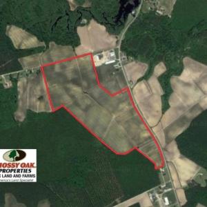 Photo of UNDER CONTRACT!  130 Acres of Prime Farm and Commercial Land For Sale in Jones County NC!