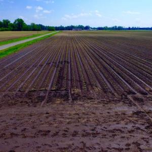 Photo of UNDER CONTRACT!  130 Acres of Prime Farm and Commercial Land For Sale in Jones County NC!
