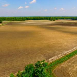 Photo of UNDER CONTRACT!  130 Acres of Prime Farm and Commercial Land For Sale in Jones County NC!
