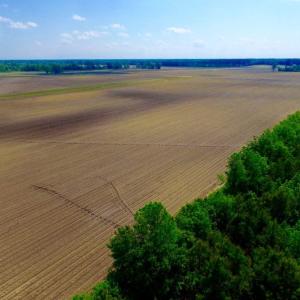 Photo of UNDER CONTRACT!  130 Acres of Prime Farm and Commercial Land For Sale in Jones County NC!