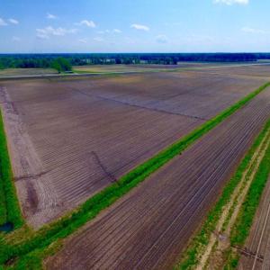 Photo of UNDER CONTRACT!  130 Acres of Prime Farm and Commercial Land For Sale in Jones County NC!