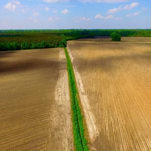 Photo of UNDER CONTRACT!  130 Acres of Prime Farm and Commercial Land For Sale in Jones County NC!