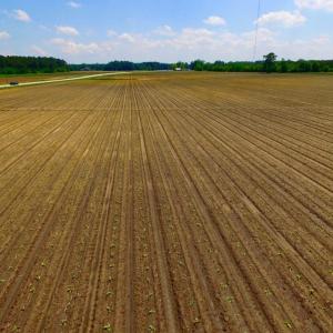 Photo of UNDER CONTRACT!  130 Acres of Prime Farm and Commercial Land For Sale in Jones County NC!