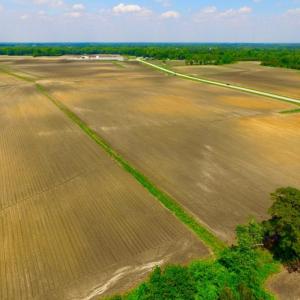 Photo of UNDER CONTRACT!  130 Acres of Prime Farm and Commercial Land For Sale in Jones County NC!