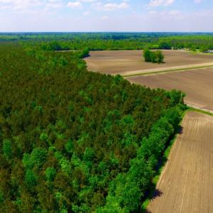 Photo of UNDER CONTRACT!  130 Acres of Prime Farm and Commercial Land For Sale in Jones County NC!
