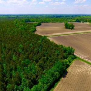 Photo of UNDER CONTRACT!  130 Acres of Prime Farm and Commercial Land For Sale in Jones County NC!