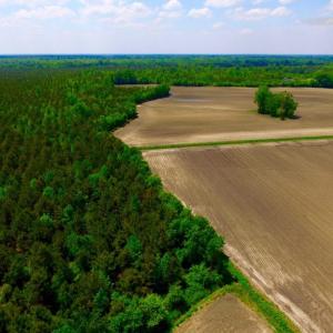 Photo of UNDER CONTRACT!  130 Acres of Prime Farm and Commercial Land For Sale in Jones County NC!
