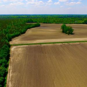 Photo of UNDER CONTRACT!  130 Acres of Prime Farm and Commercial Land For Sale in Jones County NC!