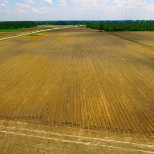 Photo of UNDER CONTRACT!  130 Acres of Prime Farm and Commercial Land For Sale in Jones County NC!