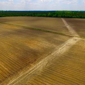 Photo of UNDER CONTRACT!  130 Acres of Prime Farm and Commercial Land For Sale in Jones County NC!