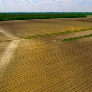 Photo of UNDER CONTRACT!  130 Acres of Prime Farm and Commercial Land For Sale in Jones County NC!