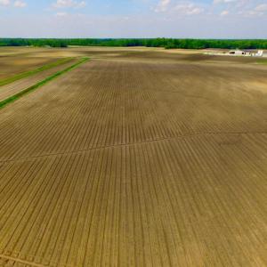Photo of UNDER CONTRACT!  130 Acres of Prime Farm and Commercial Land For Sale in Jones County NC!