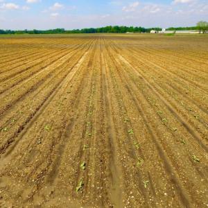 Photo of UNDER CONTRACT!  130 Acres of Prime Farm and Commercial Land For Sale in Jones County NC!