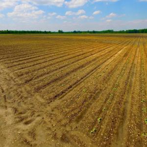 Photo of UNDER CONTRACT!  130 Acres of Prime Farm and Commercial Land For Sale in Jones County NC!