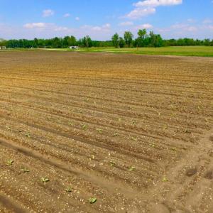 Photo of UNDER CONTRACT!  130 Acres of Prime Farm and Commercial Land For Sale in Jones County NC!
