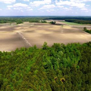 Photo of UNDER CONTRACT!  130 Acres of Prime Farm and Commercial Land For Sale in Jones County NC!