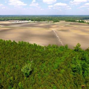 Photo of UNDER CONTRACT!  130 Acres of Prime Farm and Commercial Land For Sale in Jones County NC!