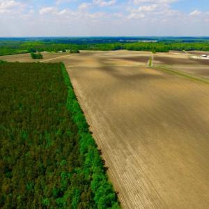 Photo of UNDER CONTRACT!  130 Acres of Prime Farm and Commercial Land For Sale in Jones County NC!